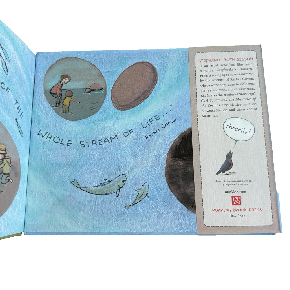 Spring After Spring Rachel Carson Environmental Movement Hardcover - Picture 3 of 4